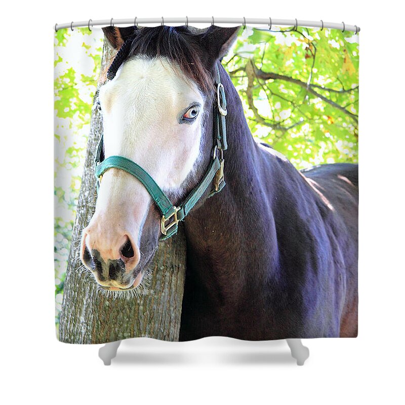  Shower Curtain featuring the photograph 'Ghostface' by PJQandFriends Photography