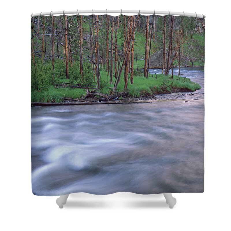 00173515 Shower Curtain featuring the photograph Gibbon River Rapids Yellowstone by Tim Fitzharris