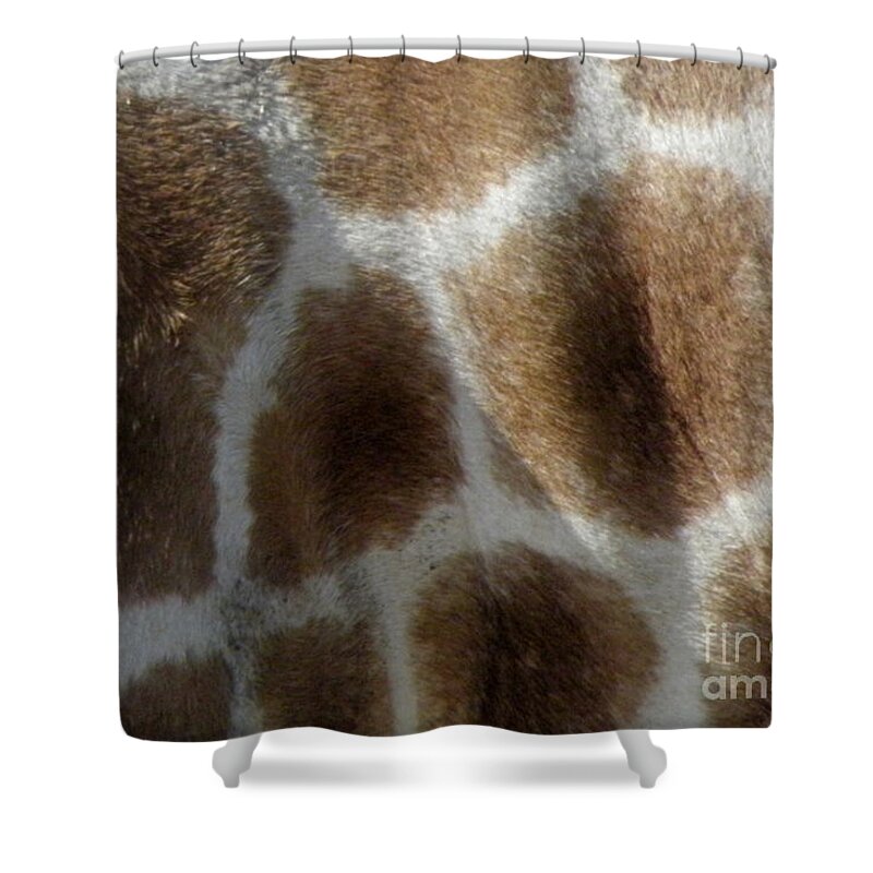 Giraffe Shower Curtain featuring the photograph Giraffe Body Print by Kim Galluzzo Wozniak