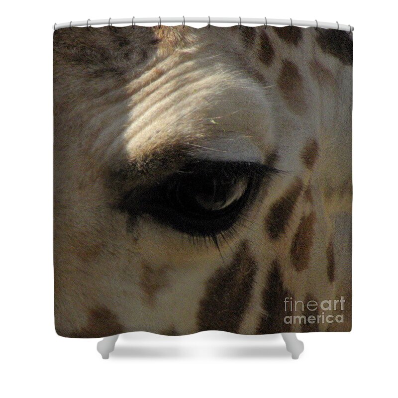 Giraffe Eye Shower Curtain featuring the photograph Giraffe eye by Kim Galluzzo Wozniak