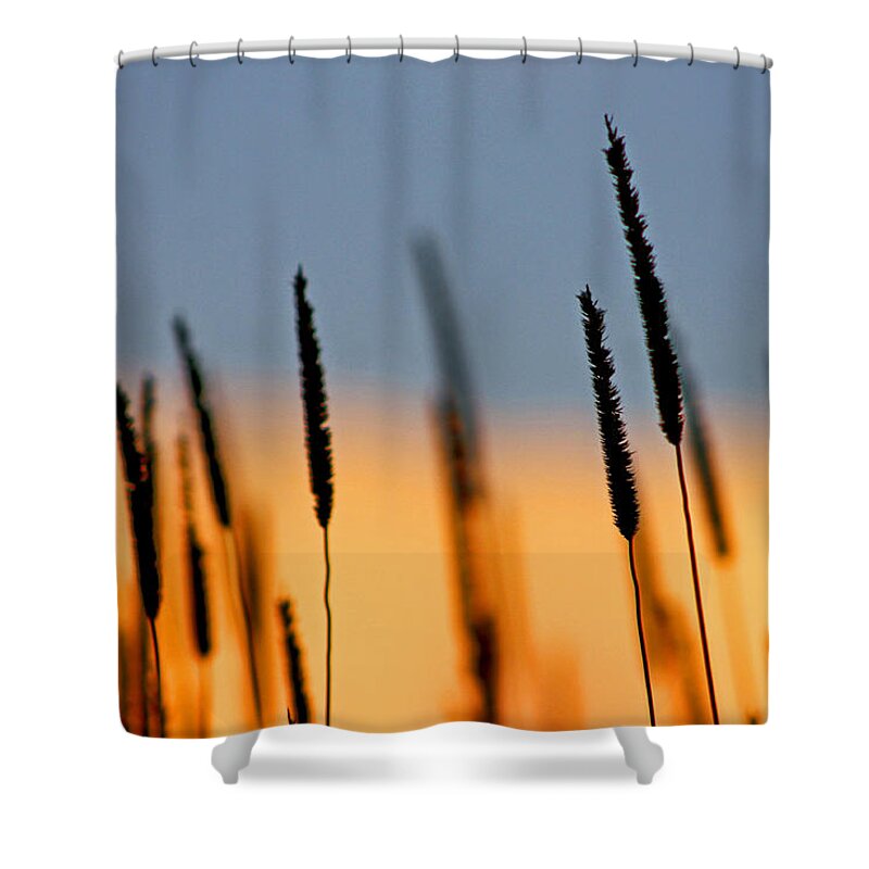Landscape Shower Curtain featuring the photograph Glow by Bruce Patrick Smith