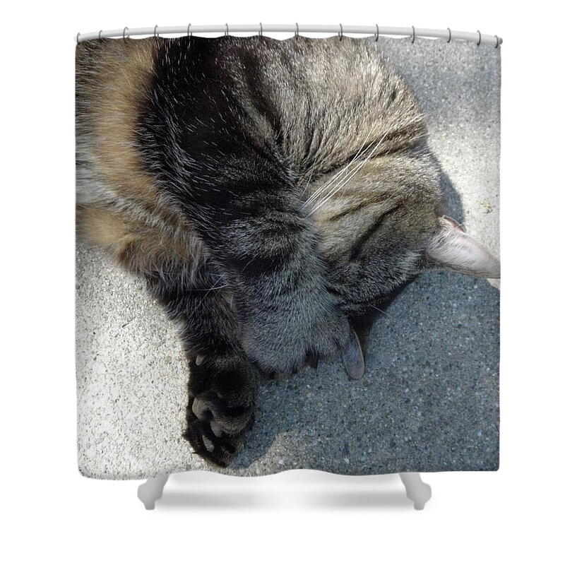 Cat Shower Curtain featuring the photograph Go Away by Kim Galluzzo Wozniak