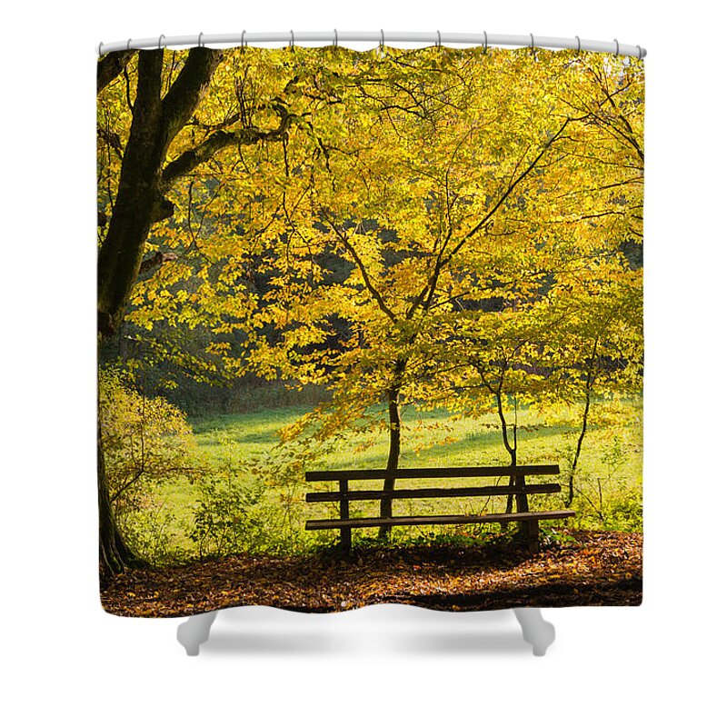 Fall Shower Curtain featuring the photograph Golden October - bench and yellow trees in fall by Matthias Hauser