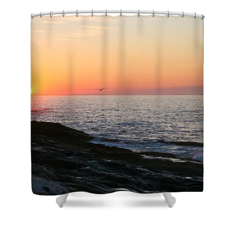 Landscape Shower Curtain featuring the photograph Good Morning Sunshine by Brenda Giasson