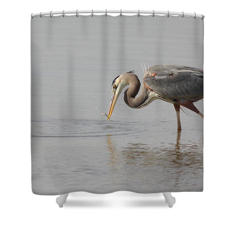 Animal Shower Curtain featuring the photograph Got Him by Robert Frederick