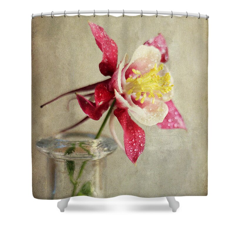 Aquilegia Shower Curtain featuring the photograph Graceful by Darren Fisher