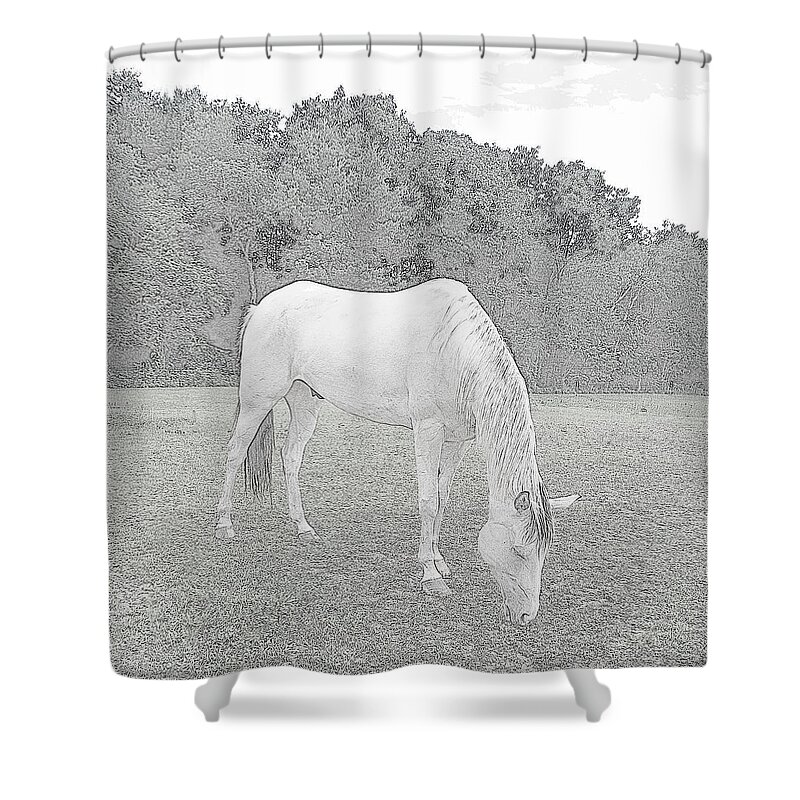 Horse Shower Curtain featuring the photograph Grazing by Kim Galluzzo