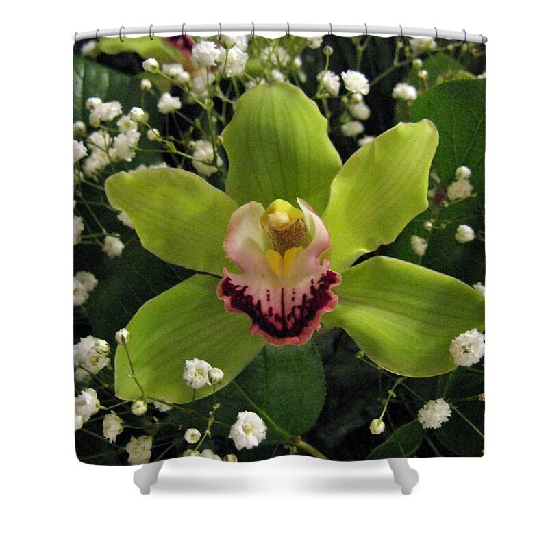 Flower Shower Curtain featuring the photograph Green Orchid in Baby's Breath by Ausra Huntington nee Paulauskaite