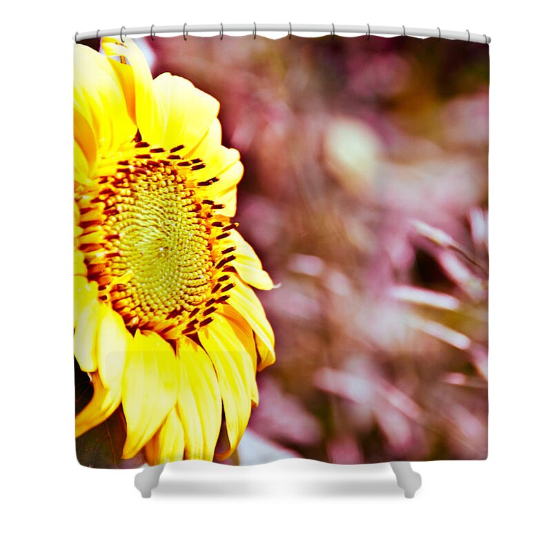Sunflower Shower Curtain featuring the photograph Greeting the Sun. by Cheryl Baxter