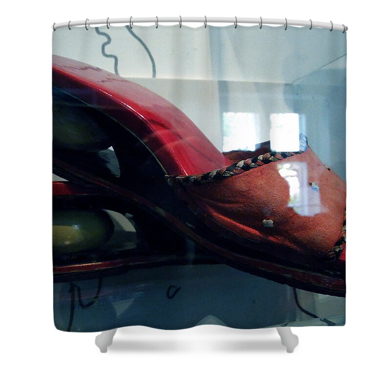 Colette Shower Curtain featuring the photograph Handsome Shoes with fresh eggs in the middle plateu by Colette V Hera Guggenheim