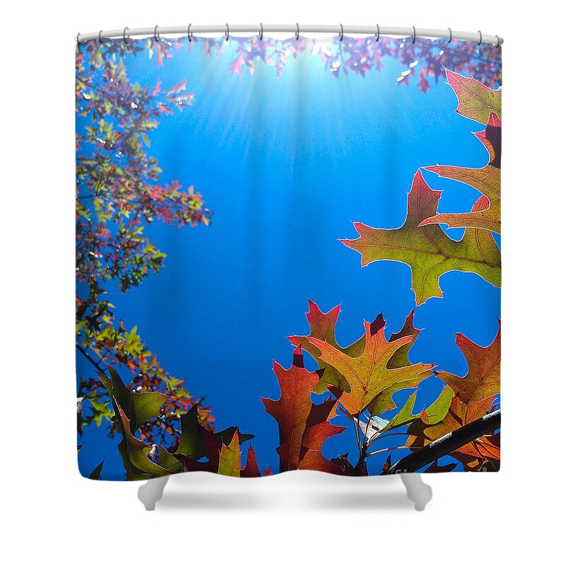 Cml Brown Shower Curtain featuring the photograph Happy Autumn by CML Brown