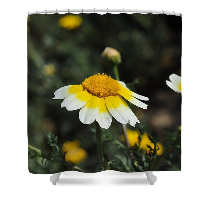 Spring Shower Curtain featuring the photograph Happy Spring by Bridgette Gomes