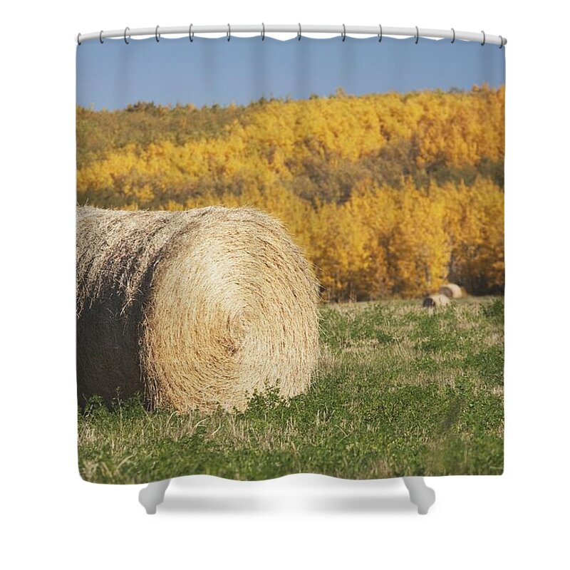 Autumn Shower Curtain featuring the photograph Hay Bale With Autumn Colors, Alberta by Michael Interisano