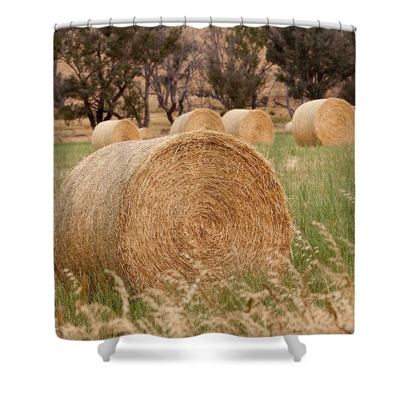 Rural Shower Curtain featuring the photograph Hay Bales by Michelle Wrighton
