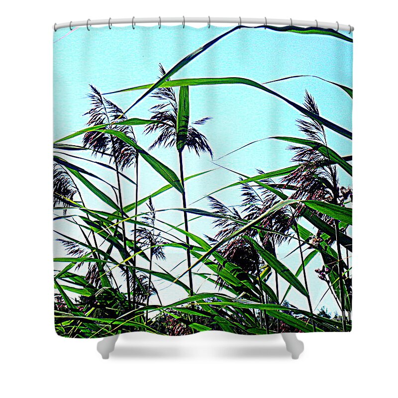 Blue Canvas Prints Shower Curtain featuring the photograph Hay in the summer by Pauli Hyvonen