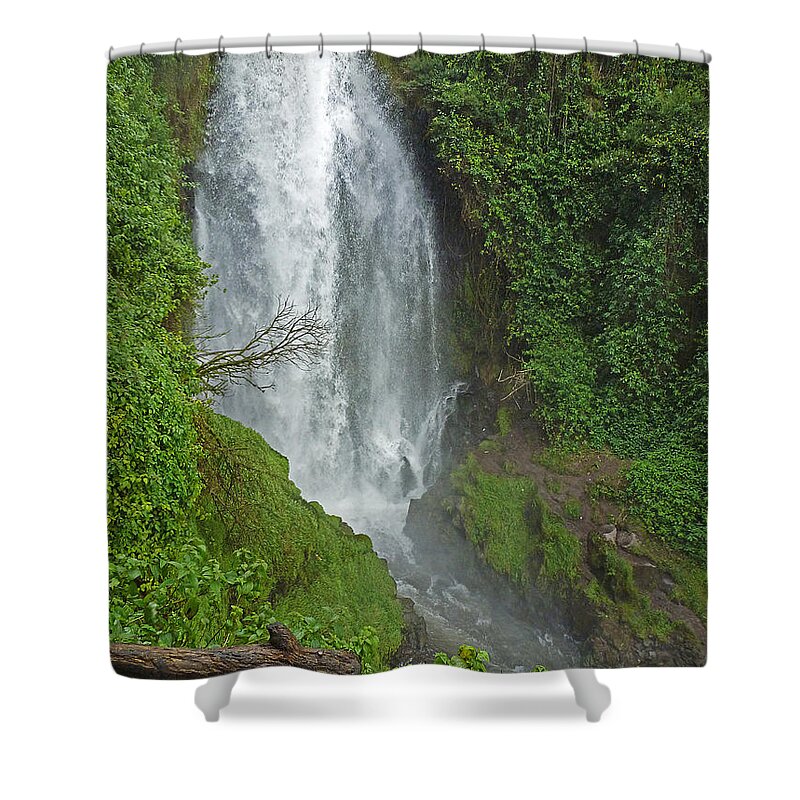 Waterfall Shower Curtain featuring the photograph Headwaters Peguche Falls Ecuador by Julia Springer