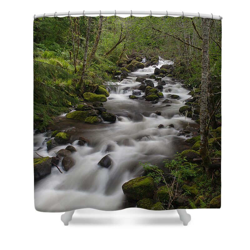 Forest Shower Curtain featuring the photograph Heavenly Flow by Mike Reid