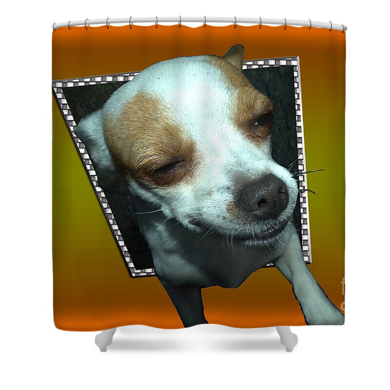 Animal Shower Curtain featuring the photograph Help I'm Falling by Donna Brown