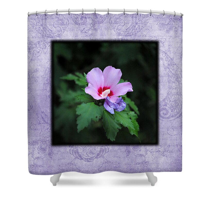 Hibiscus Shower Curtain featuring the photograph Hibiscus I Photo Square by Jai Johnson