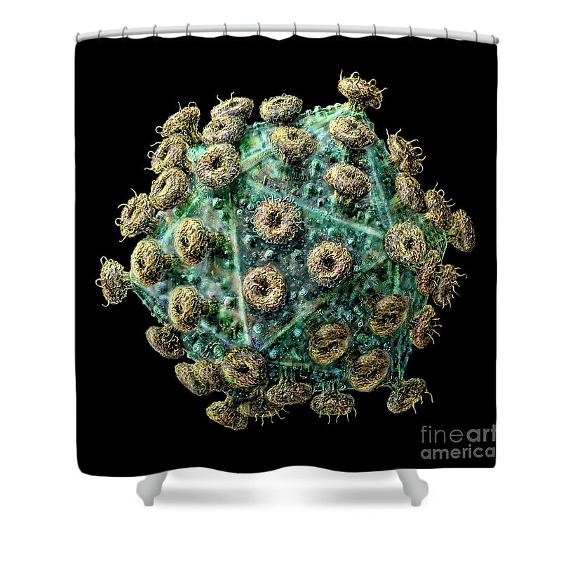 Acquired Shower Curtain featuring the digital art HIV Laevo Black by Russell Kightley