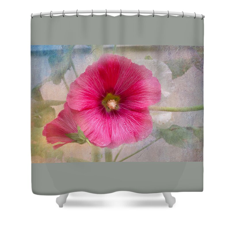 Hollyhock Shower Curtain featuring the photograph Hollyhock by Lena Auxier