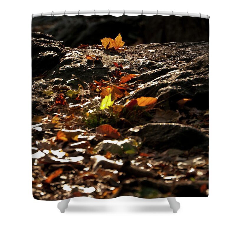 Beauty Shower Curtain featuring the photograph How We Should Leave... by S Paul Sahm