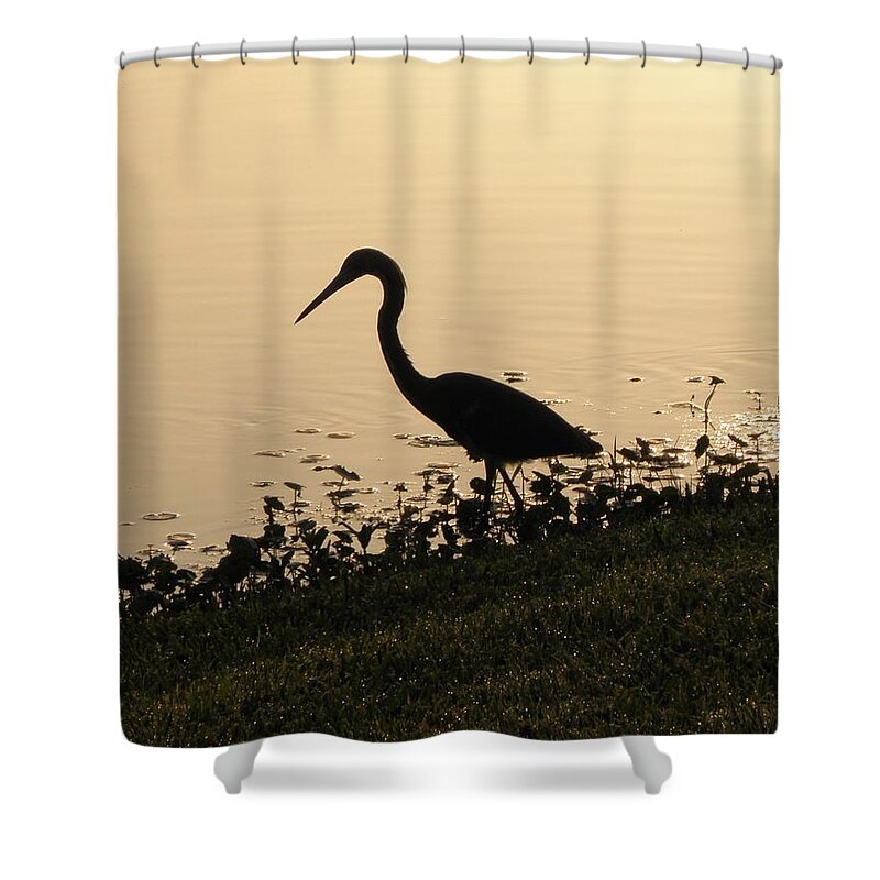 Crane Shower Curtain featuring the photograph Hunting At Sunset by Kim Galluzzo