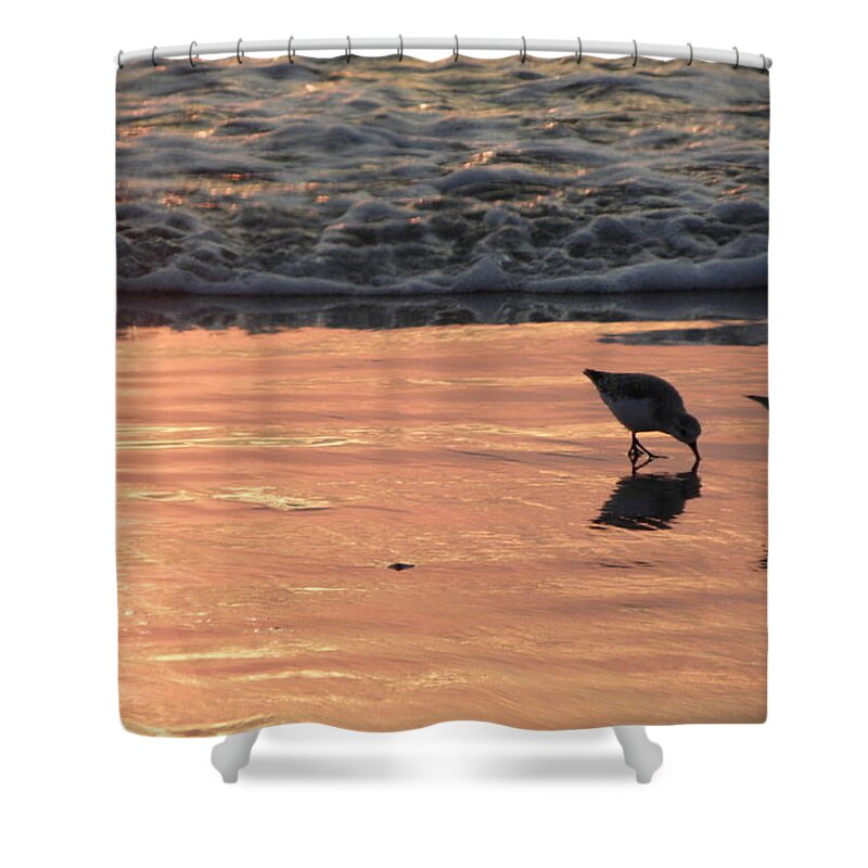 Birds Shower Curtain featuring the photograph Hurry Before The Wave Comes by Kim Galluzzo