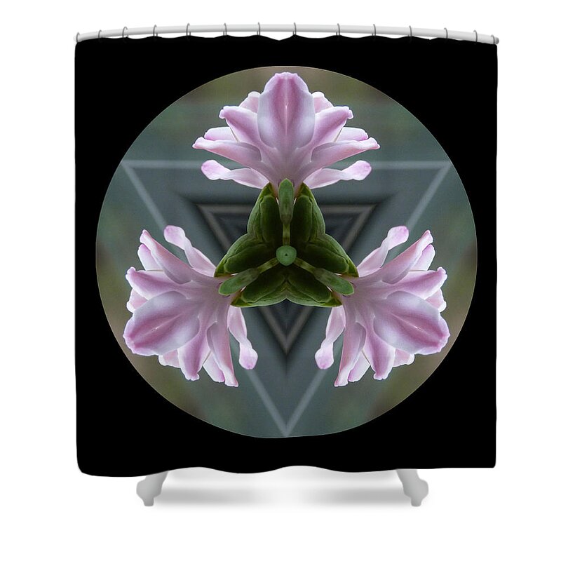 Hyacinth Shower Curtain featuring the photograph Hyacinth Kaleidoscope by Lynn Bolt