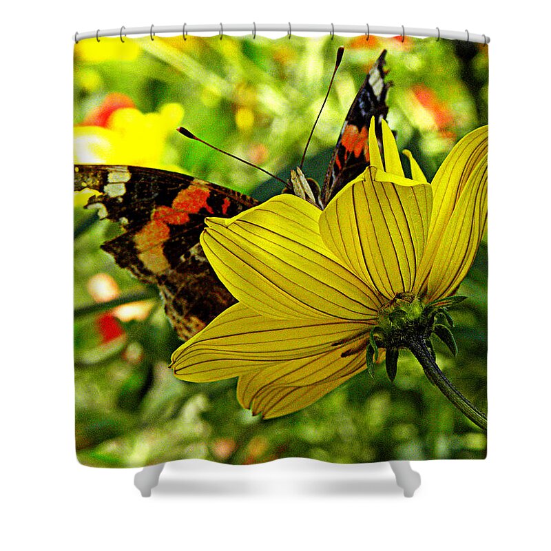 Butterfly Shower Curtain featuring the photograph I'm peaking at you by Kim Galluzzo