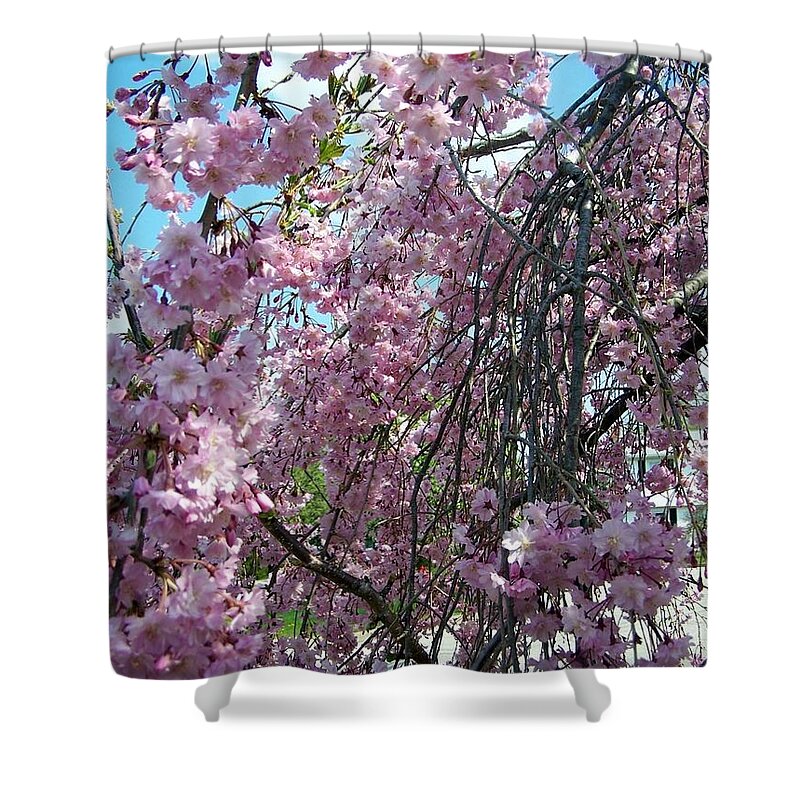 Flowers In Bloom Shower Curtain featuring the painting In Bloom by Cynthia Amaral