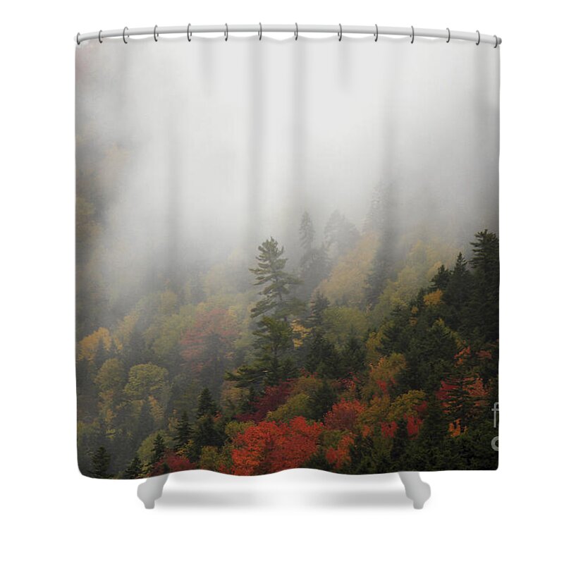 Maine Shower Curtain featuring the photograph In His Image by Brenda Giasson
