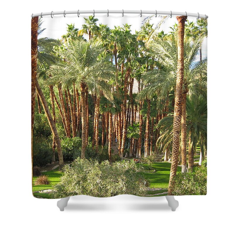 Arizona Photographs Shower Curtain featuring the photograph In The Kingdom Of Trees by Robert Margetts