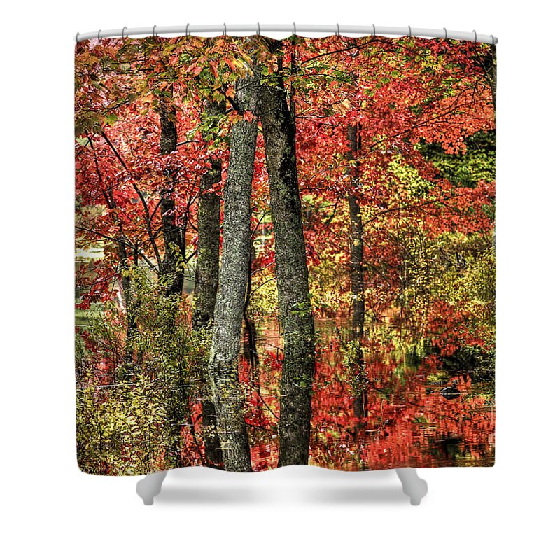 Fall Foliage Shower Curtain featuring the photograph Indian Summer by Brenda Giasson