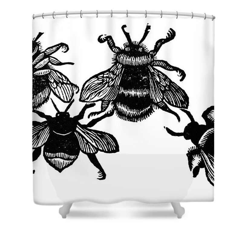 1658 Shower Curtain featuring the photograph Insects: Bees by Granger