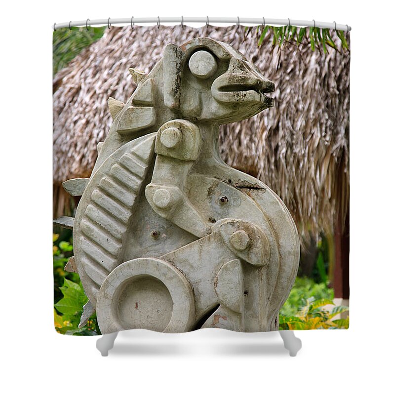 Caribbean Shower Curtain featuring the photograph Intriguing Taino Sculpture by Karen Lee Ensley