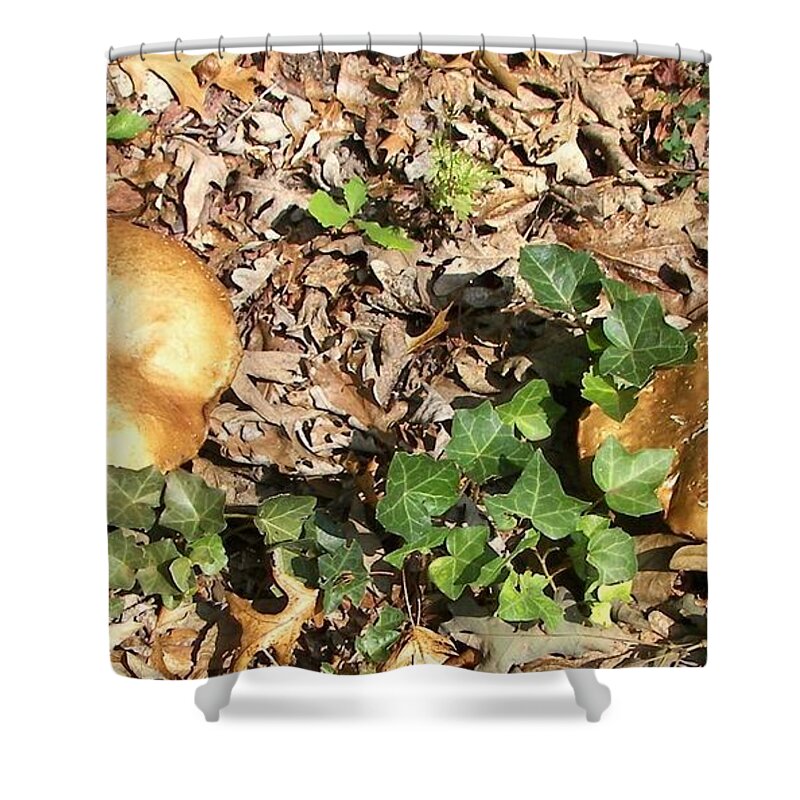 Nature Shower Curtain featuring the photograph Invasive Shrooms by Pamela Hyde Wilson