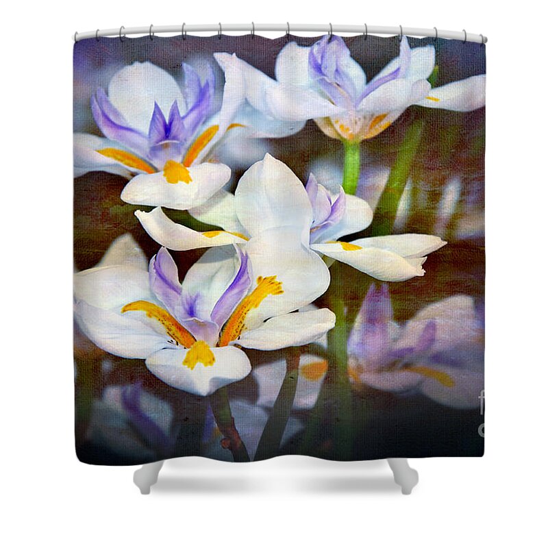 Photography Shower Curtain featuring the photograph Iris Art by Kaye Menner