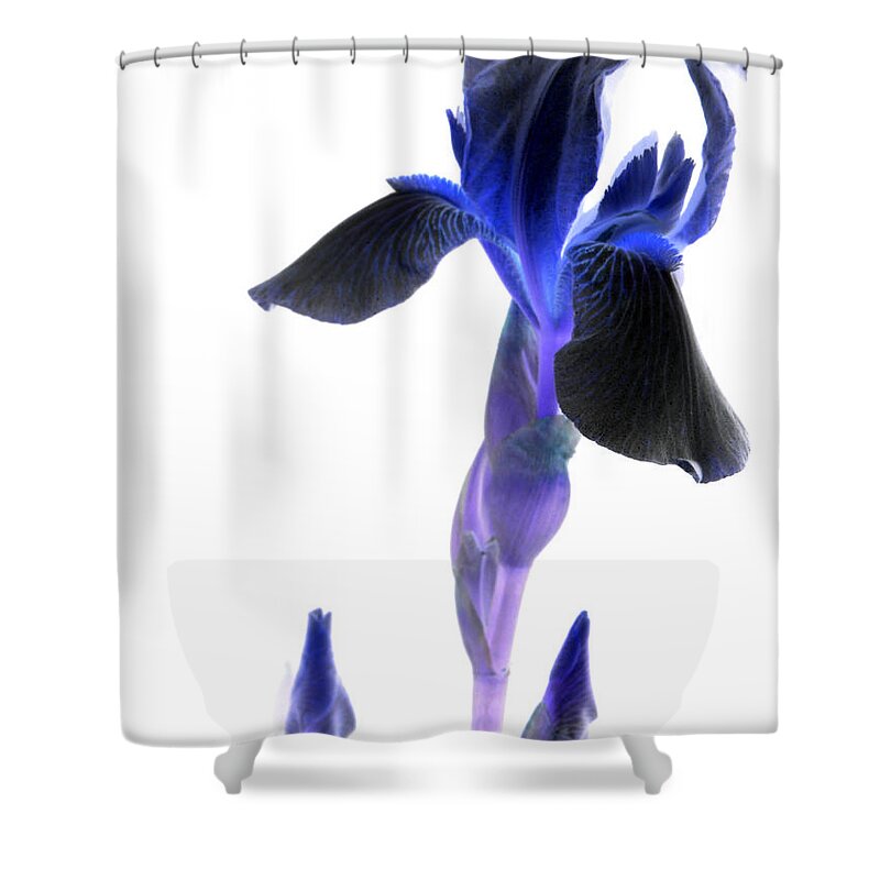 Computer Generated Photo Shower Curtain featuring the photograph Iris manipulation by Kim Galluzzo