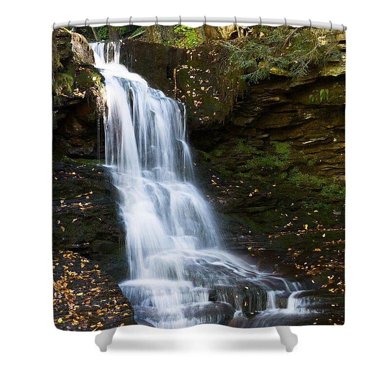 Pennsylvania Shower Curtain featuring the photograph Is it Cottonwood by Ronald Lutz