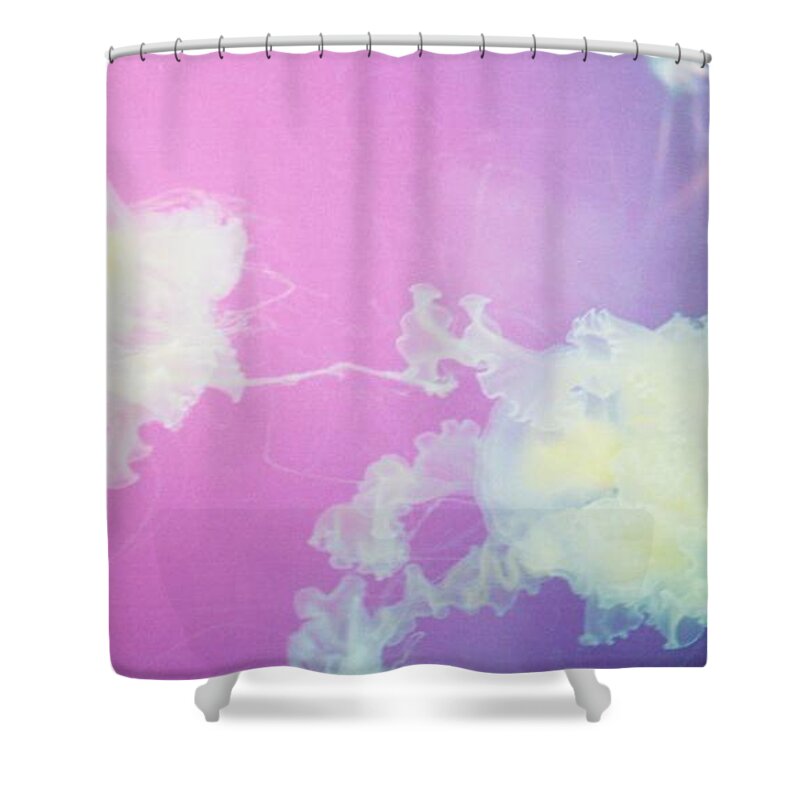 Jellyfish Shower Curtain featuring the photograph Jellyfish 2 by Samantha Lusby