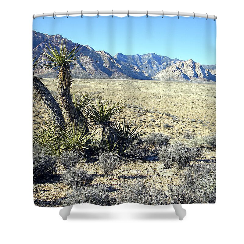Joshua Tree Shower Curtain featuring the photograph Joshua Tree And Mount Wilson by Frank Wilson