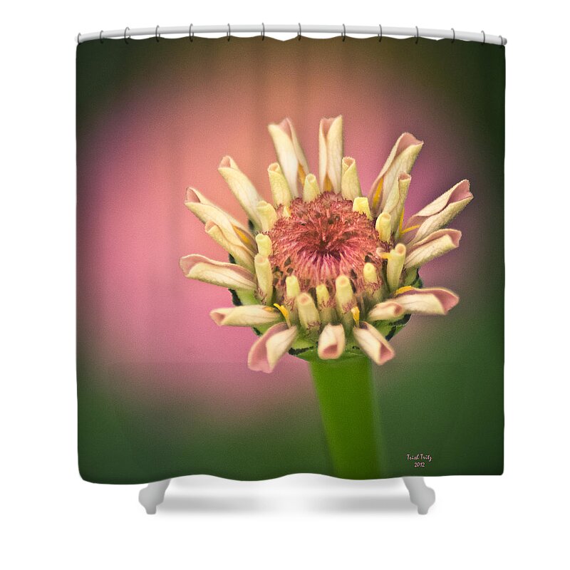 Flower Shower Curtain featuring the photograph Just A Little Pink by Trish Tritz