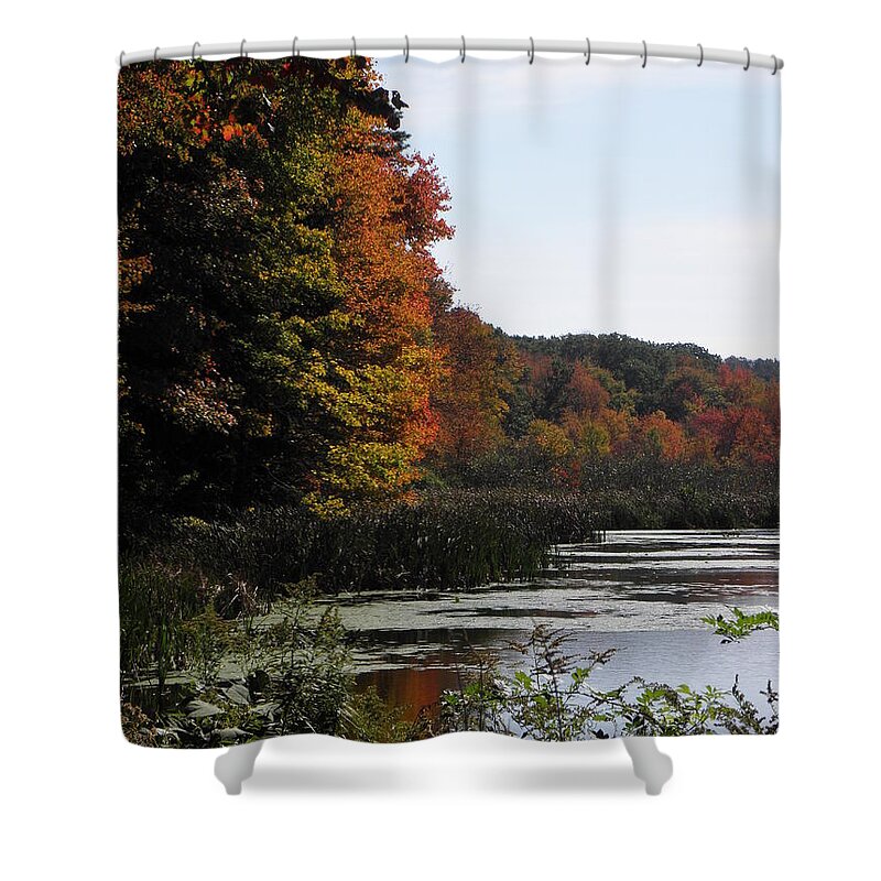 Autumn Shower Curtain featuring the photograph Just simple Beauty by Kim Galluzzo Wozniak