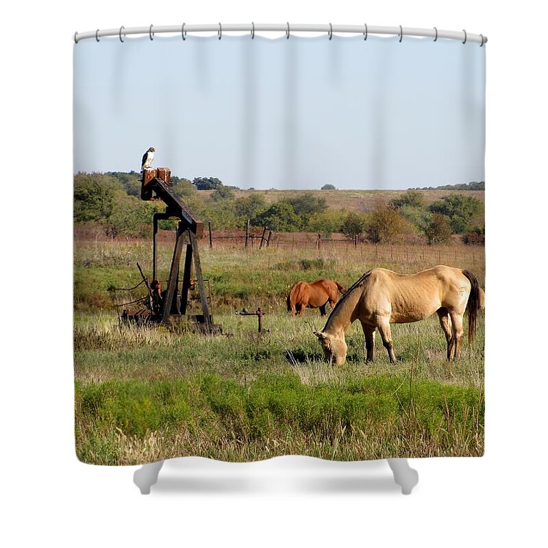 Broad-winged Hawk Shower Curtain featuring the photograph Kansas tableaux by Keith Stokes
