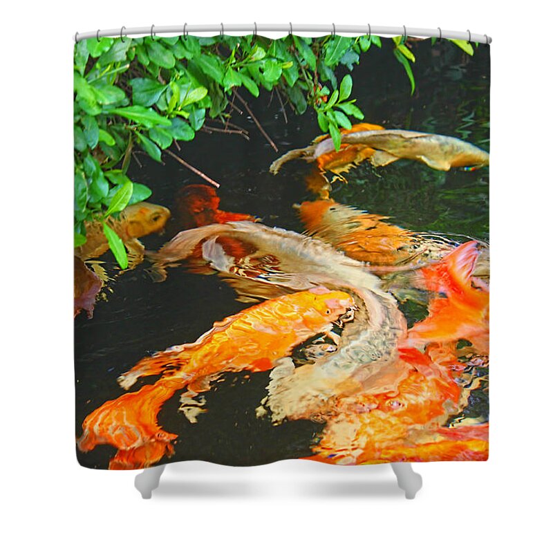 Art Photography Shower Curtain featuring the photograph Koi Joy by Christiane Kingsley