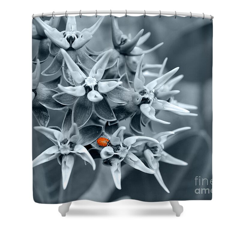 Flowers Shower Curtain featuring the photograph Ladybug flower by Rebecca Margraf