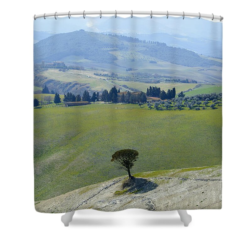 Trees Shower Curtain featuring the photograph Landscape view by Mats Silvan