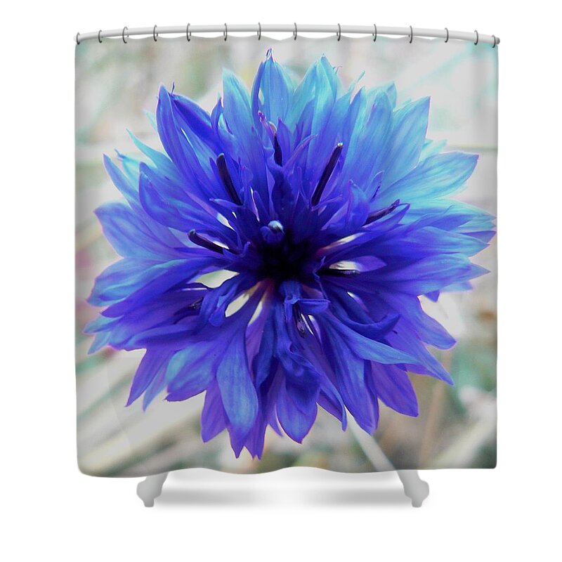 Lapis Shower Curtain featuring the photograph Lapis Lazuli by Barbara St Jean