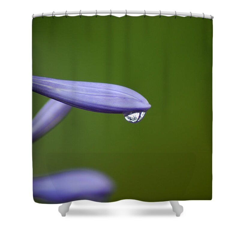 Flower Shower Curtain featuring the photograph Lavender by David Weeks